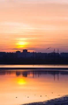 Sunset reflection Stock Photos