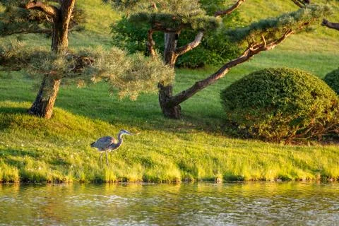 Sunset reflection Foto stock