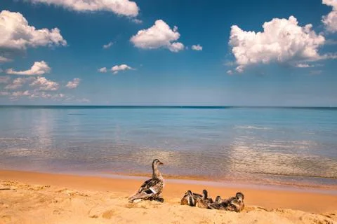 Sunset reflection Stock Photos