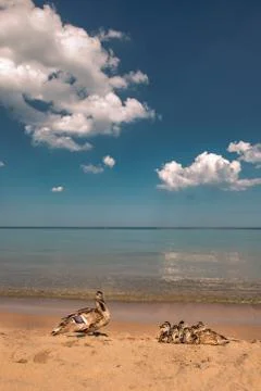 Sunset reflection Stock Photos