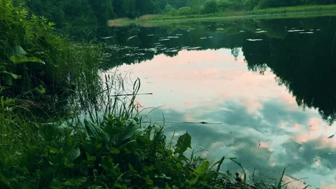 Sunset reflection in river with grass on shore peaceful calm nature scene. Stock Footage 312165527