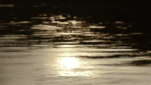 Sunset Reflection on The River, Silhouette, Spring Holiday Season Stock Footage 138749870