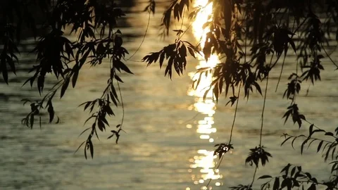 Sunset reflection on the river surface Stock Footage 70927106