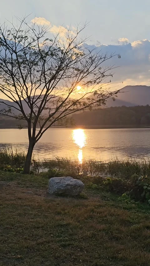 Sunset Reflection on River with Tree Silhouette and Mountain Landscape in Korea Vídeos de archivo 330175369