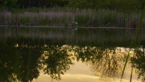 Sunset Reflection on the Ros River, Ukraine Stock Footage 326278085