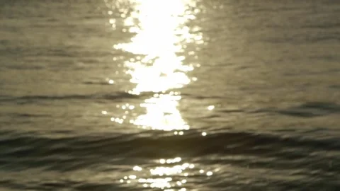 Sunset reflection on the sea Stock Footage 295919550