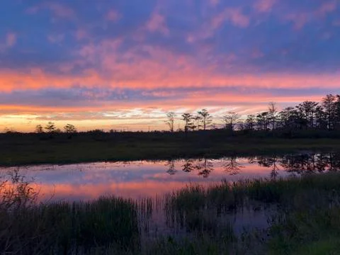Sunset reflection in the swamp Stock Photos