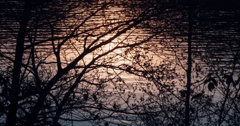 Sunset Reflection - Timelapse Stock Footage 128748935