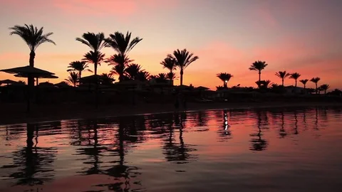 Sunset reflection in the water on the beach. Egypt Stock-Footage 71763171