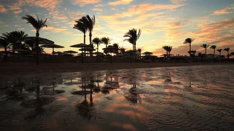 Sunset reflection in the water on the beach. Egypt Stock-Footage 72274172