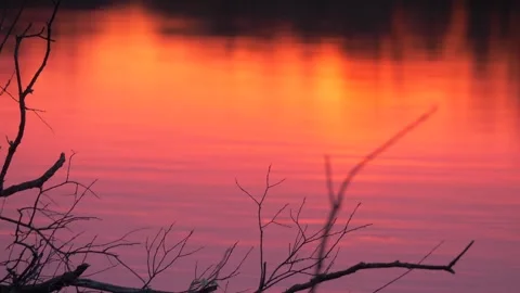 Sunset reflection on water in spring river Stock Footage 283581696