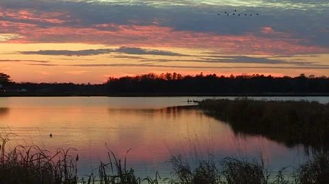 Sunset Reflections and Wildlife Stock Footage 47989680