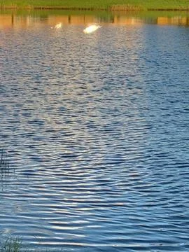 Sunset reflections on rippled lake Stock Photos