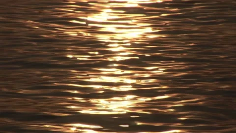 Sunset Reflections on Water Capturing Natural Beauty Vídeo Stock 306555720