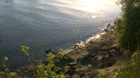 Sunset reflects off surface of the Sacramento River Video stock 360344