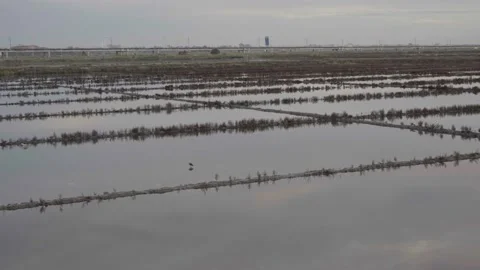 Sunset Refleting in Water Stock Footage 237891899