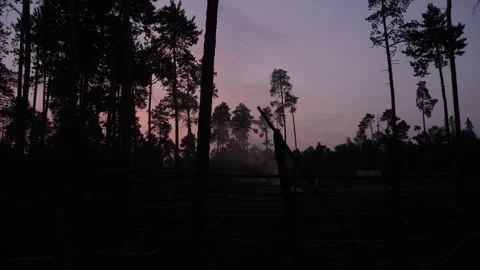 Sunset in reindeers camp in Siberia Video stock 281285230