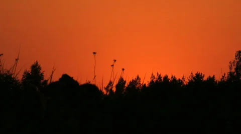  sunset,  relaxation 스톡 동영상 836810