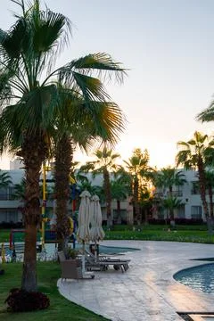 Sunset resort pool with palm trees in Sharm El Sheikh, Egypt Stock Photos