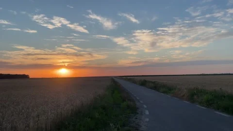 Sunset reveal over a wheatfield and a road at country side Stock Footage 201328962