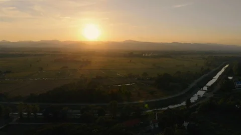 Sunset at rice field Stock Footage 90106139