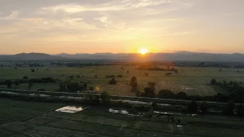 Sunset at rice field Stock Footage 90106648