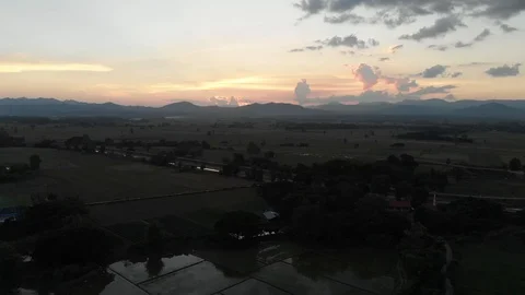 Sunset at rice field Video stock 99324865
