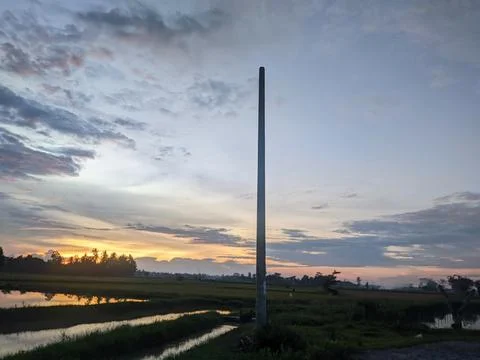 Sunset in the rice field  Stock Photos