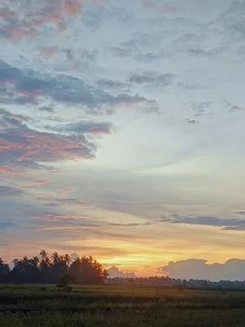 Sunset in the rice field Stock Photos