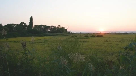 Sunset rice fields and Mountains in background Stock Footage 253226999