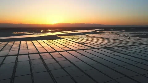 Sunset rice fields on the Hetao Plain Video stock 257297048