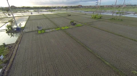 Sunset on the rice fields, Sanur, aerial shot Stock Footage 65431825