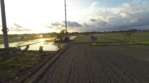 Sunset on the rice fields, Sanur, aerial shot Stock Footage 65432598
