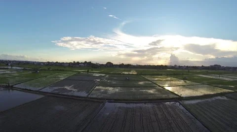 Sunset on the rice fields, Sanur, aerial shot Stock Footage 65434052
