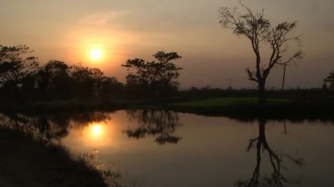Sunset on a rice paddy Stock Footage 114985181