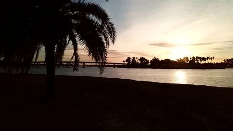 At sunset, rising jib shot from behind palm tree to reveal bay and sky 库存影片 84089237