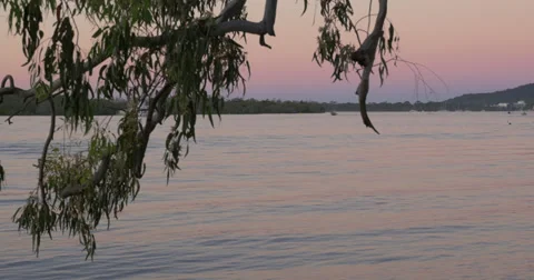 Sunset at the river - 4K (UltraHD) Stock Footage 39743433