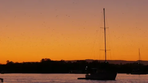 Sunset at the river - 4K (UltraHD) Stock Footage 39746343