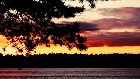 Sunset on the river above the forest on a summer evening. Paints. Color. Stock Footage 158382476