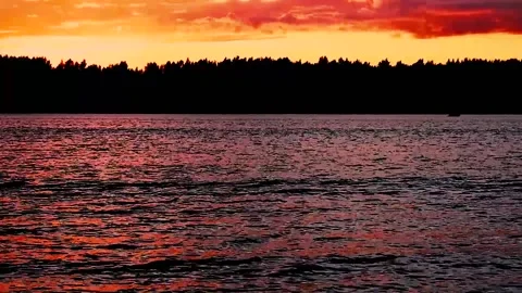 Sunset on the river above the forest on a summer evening. Paints. Color. Stock Footage 158382478