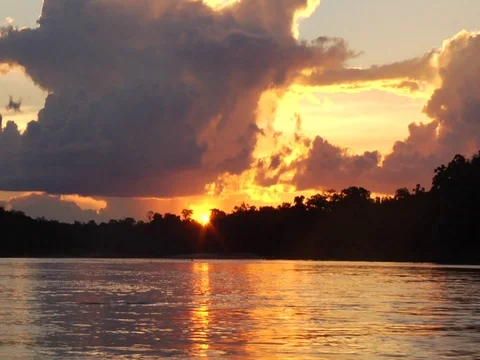 Sunset on River in Amazon Jungle Rainforest Seen From Boat Stock Footage 112943624