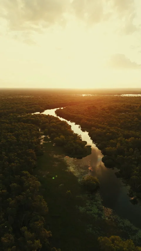 Sunset with River and Forest in Northern Territory, Australia Stock Footage 287987091