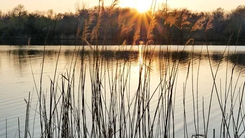 Sunset on the river bank Stock Footage 78612809