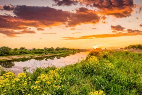 Sunset on the river with cloudy skies reflected in the water and yellow flo.. Stock Photos