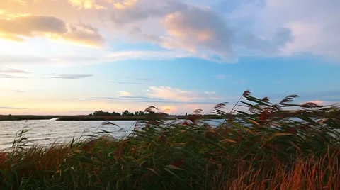 Sunset on the river Stock Footage 8648909