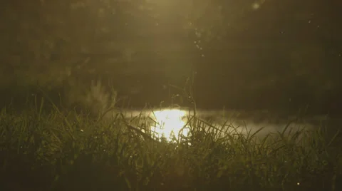 Sunset river Stockbeeldmateriaal 37270656