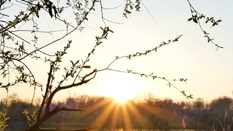 Sunset by the river Stock Footage