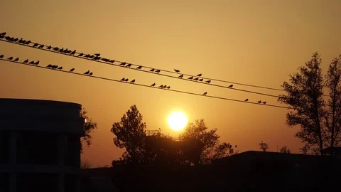 Sunset on river Stock Footage 82475351