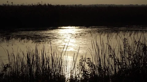 Sunset on river Stock Footage 82480243