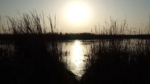 Sunset on river Video stock 82480630